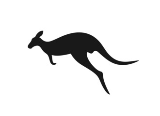 Kangaroo silhouette. Isolated kangaroo on white background