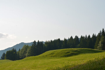Fototapeta na wymiar Green, idyllic landscape in the Alps with lush meadows