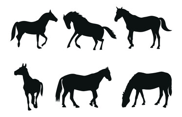 Six silhouettes of a horse, running, standing, chewing grass, trot
