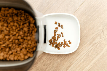 smart pet feeder. feeder with remote control and built-in camera. cat food station bowl of food.