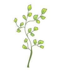 tree with leaves