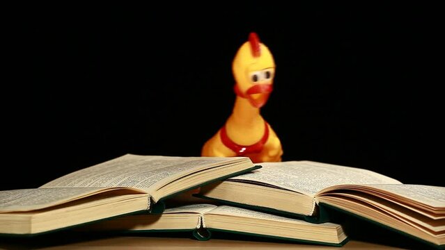 footage of rubber chicken book dark background