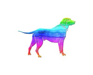 Dog Pet Animal symbol, LGBT Gay Pride Rainbow Flag icon logo illustration