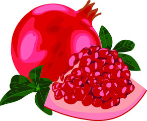 Ripe pomegranate with leaves, vector graphic