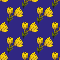 Seamless pattern with great yellow crocuses on bright blue background. Spring flowers. Vector image.