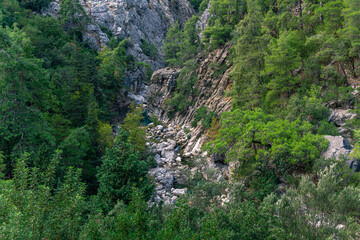 Fototapeta premium wooded mountain canyon with a stream in a rocky bed, top view