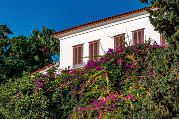 Fototapeta na wymiar traditional house with a tiled roof and shutters among flowers in Kaleiçi, the historical district of Antalya