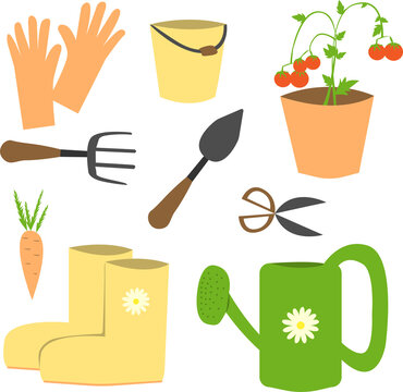 Set of gardening tools and plants