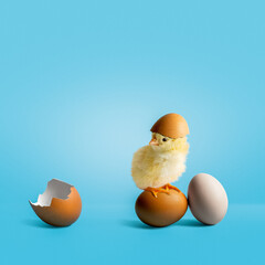 Uova pasquali e Pulcino su sfondo azzurro
