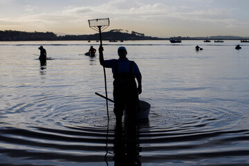 A shellfish worker looks for cockles and clams on a beach in Galicia at dawn