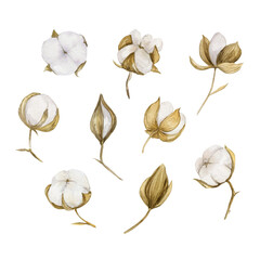 A set of delicate cotton flowers on a white background.
