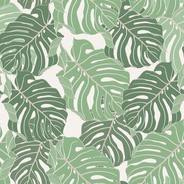 Floral seamless pattern, green line split-leaf Monstera plant background, line art ink drawing.