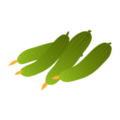 cucumber vector isolated, flat design on white background