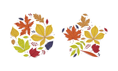 Shape with Bright Autumn Foliage of Different Leaf Color Vector Arrangement Set