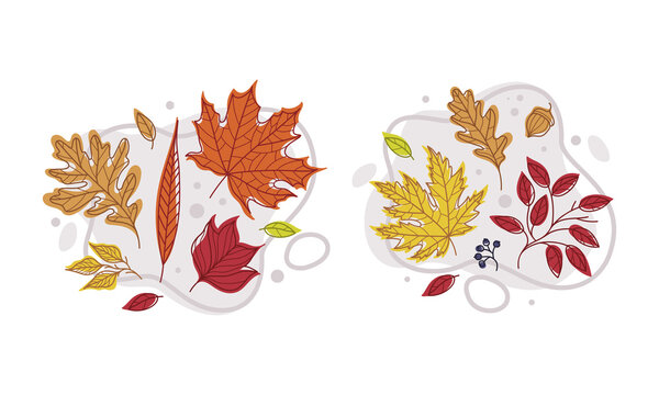 Autumn Bright Foliage with Different Leaf Color Vector Composition Set