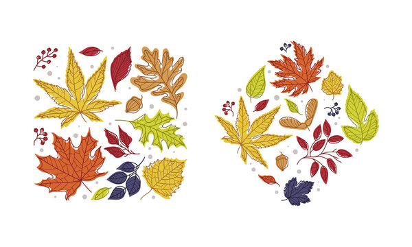Shape with Bright Autumn Foliage of Different Leaf Color Vector Arrangement Set