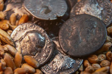 old coins lie on the grain close-up