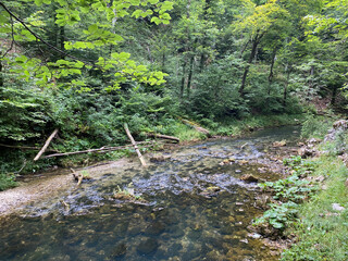 Protected landscape of the small river Kamacnik in Gorski kotar - Vrbovsko, Croatia (Zaštićeni krajolik rječice Kamačnik u Gorskom kotaru - Vrbovsko, Hrvatska)