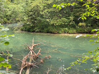 Protected landscape of the small river Kamacnik in Gorski kotar - Vrbovsko, Croatia (Zaštićeni krajolik rječice Kamačnik u Gorskom kotaru - Vrbovsko, Hrvatska)
