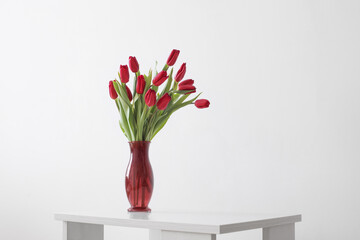 red tulips in glass vase on white background