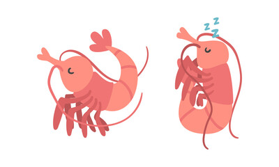 Shrimp Character as Aquatic Mammal with Funny Face Vector Illustration Set
