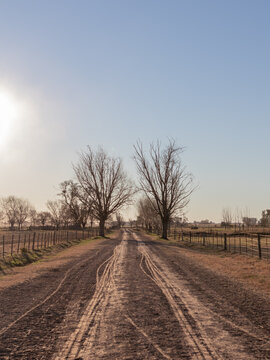 Camino Al Atardecer En Campo Argentino