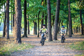 Fototapeta premium Two little boys children having fun on Balance Bike on a country road.