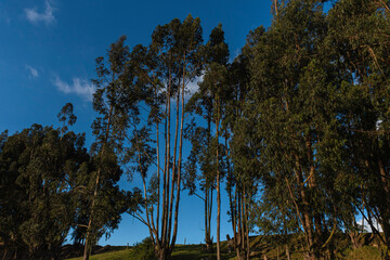Obraz premium atardecer veraniego desde la capital salinera de Colombia, Zipaquirá Colombia, en la sabana de Bogotá
