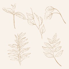 Set of hand-drawn vectors in the clean and modern line style © Rachmattt