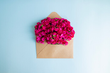 Pink flowers in an envelope on blue background