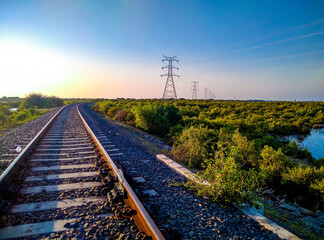 Fototapeta na wymiar railroad tracks in the evening