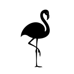 Dark silhouette of a flamingo on a white background.