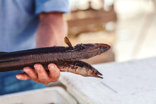 Händler bietet frisch geräucherten Aal an