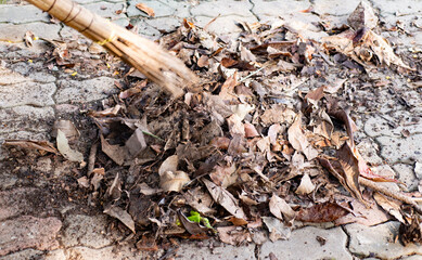 a pile of dry leaves gathered together