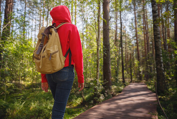 trip to central Russia, St. Petersburg, ecotrail Sestroretsky swamps. regenerative travel concept. Young woman hiking and camping in nature. with backpack walking in green forest