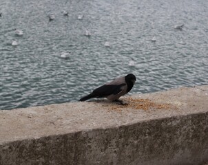 одиночество