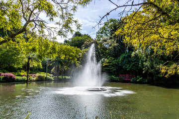 Naklejka premium The fountain in the middle of the lake. Pukekura Park, Taranaki, New Zealand
