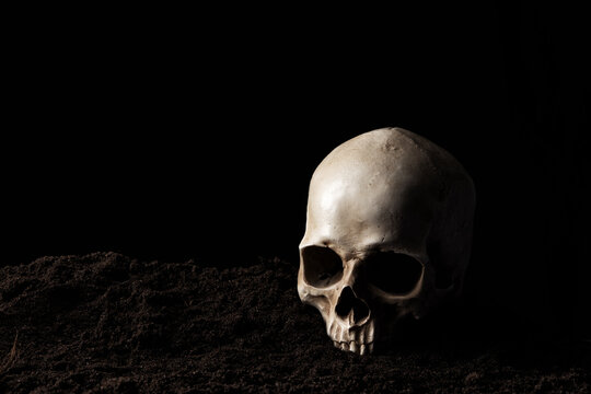 Human skull on the ground in the soil. Still life image. Black background. Copy space.