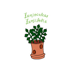 Simple vector illustration. Funny plant. Background image for banner, greeting card, invitation, decoration.