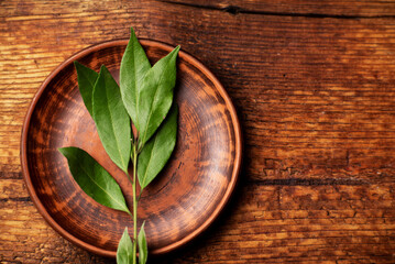 Bay leaves on a branch. on a clay plate. Wooden background.