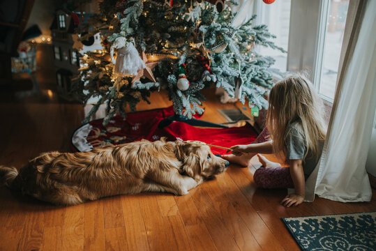 Young girl playing with dog in front of Christmas tree with wand