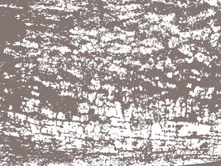 Distressed tree bark texture background. Grunge plant trunk overlay.