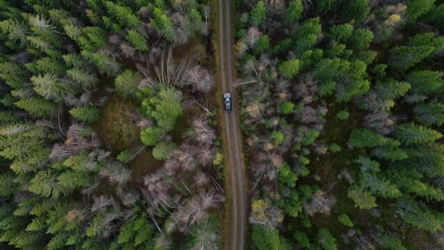 Norwegian Forest Land Rover Road from Above Drone 4K