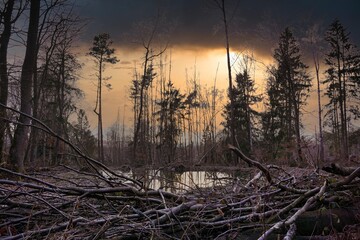 sunrise over the river