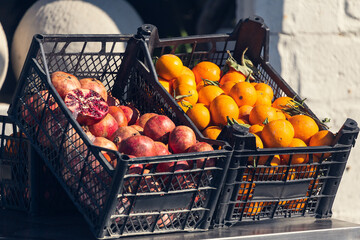 Fototapete bei efototapeten.de bestellen   