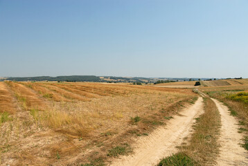 Fototapeta premium Unpaved road between fields, Poland