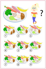 A children s riddle to find a match for preschoolers