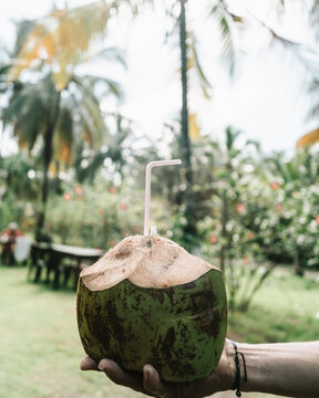 tranquilidad. cerca de santa marta,  cocoloco coctel tipico de la costa.