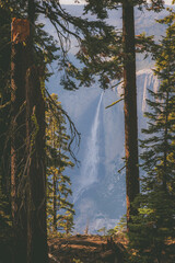 Scenery located in Yosemite National Park.