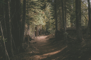 Scenery located in Yosemite National Park.